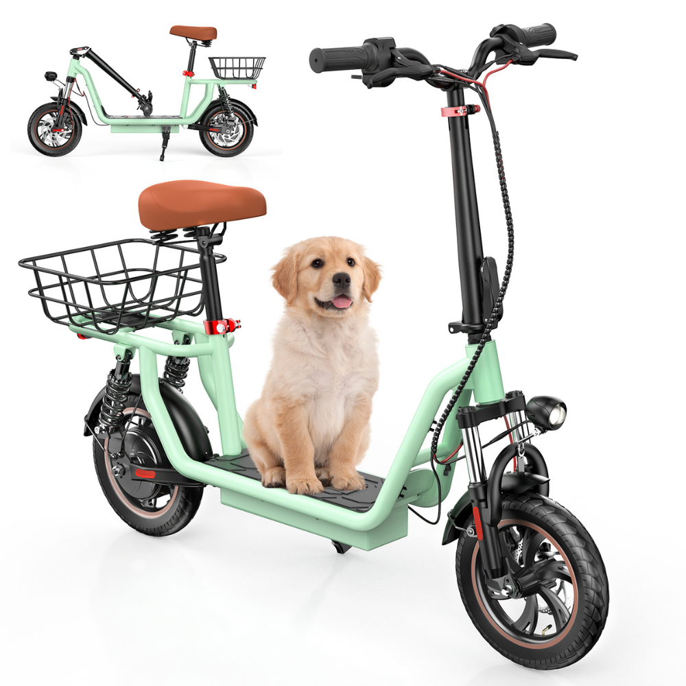 IScooter i12 Electric Scooter