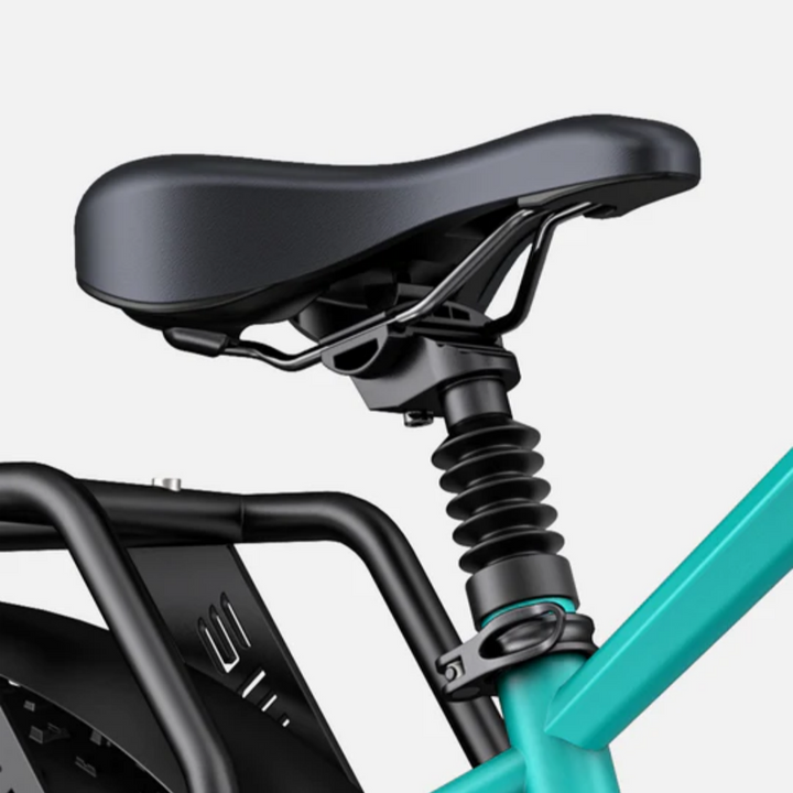 ENGWE E26 Electric Bike