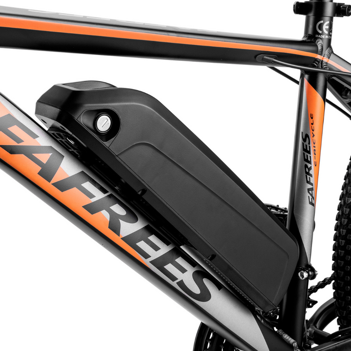 Fafrees Hailong One Electric Bike