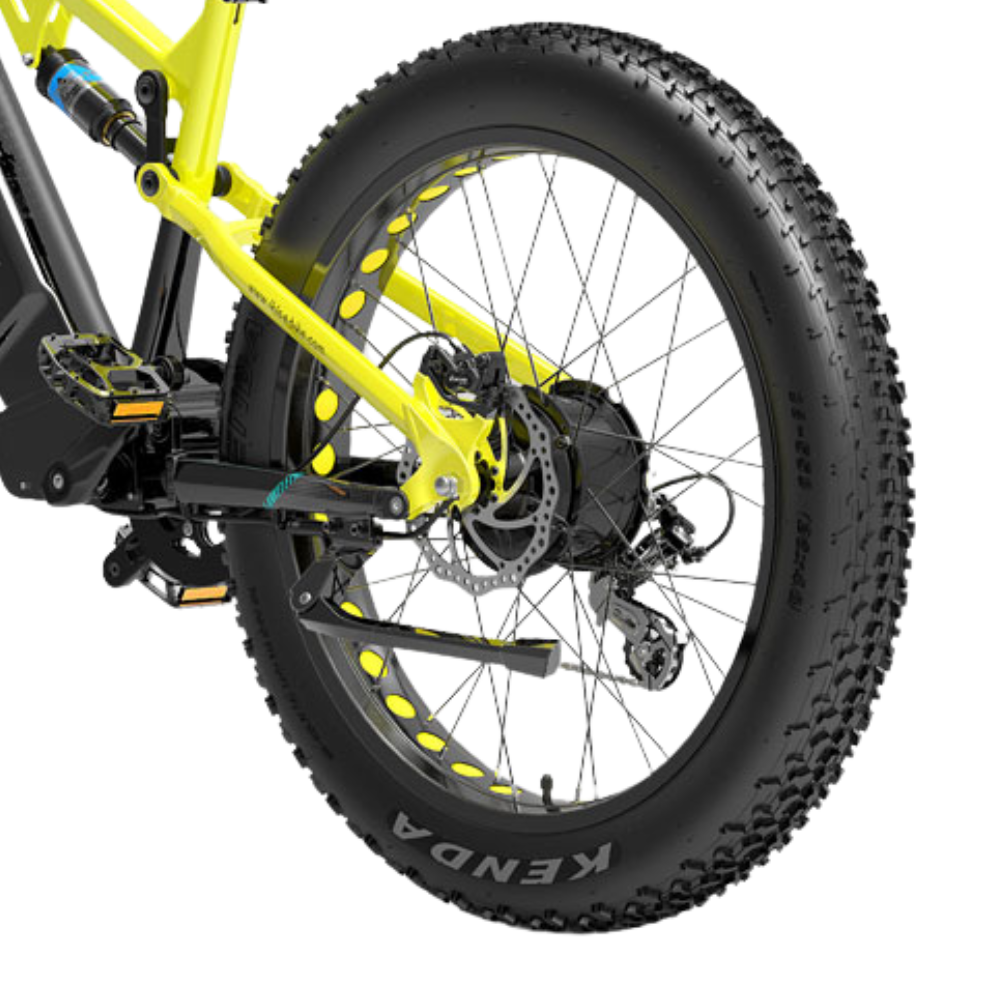 LankeLeisi RV800PLUS Electric Bike