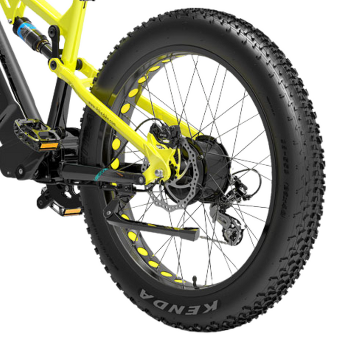 LankeLeisi RV800PLUS Electric Bike