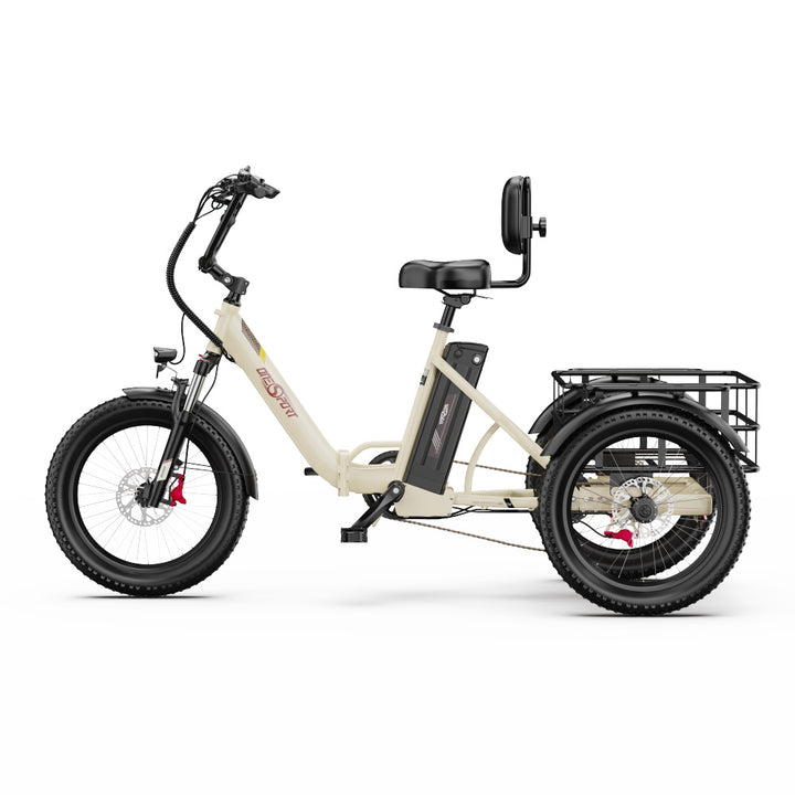 Onesport OT30 Pro Electric Bike