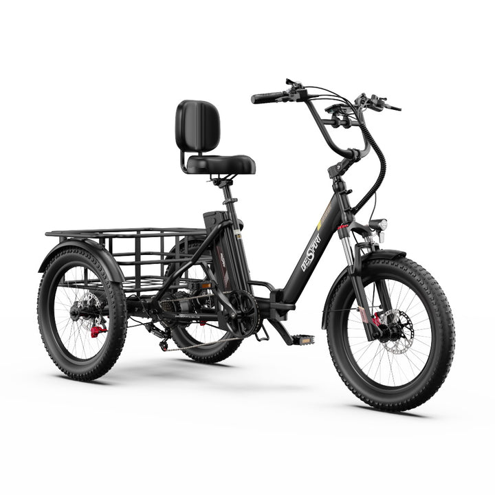 Onesport OT30 Pro Electric Bike