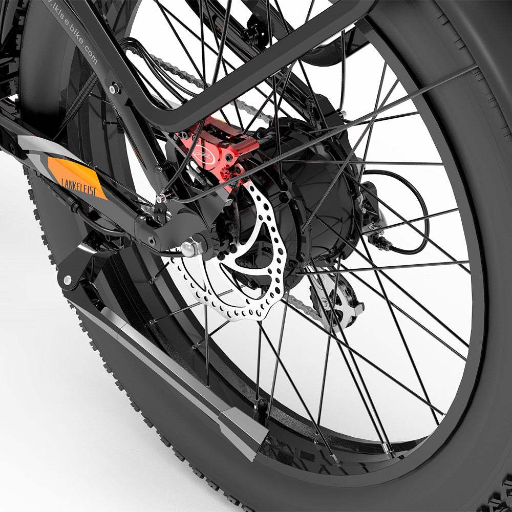 LankeLeisi MG800MAX elektrische fiets 