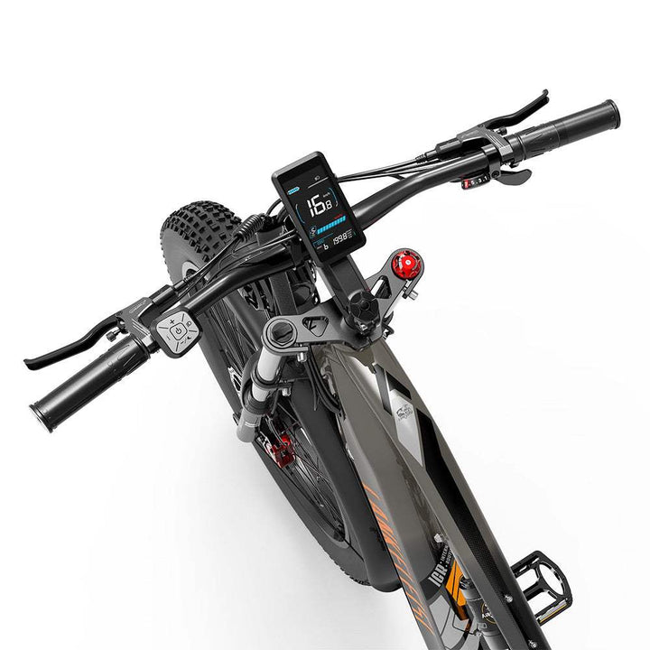 LankeLeisi MG800MAX elektrische fiets 