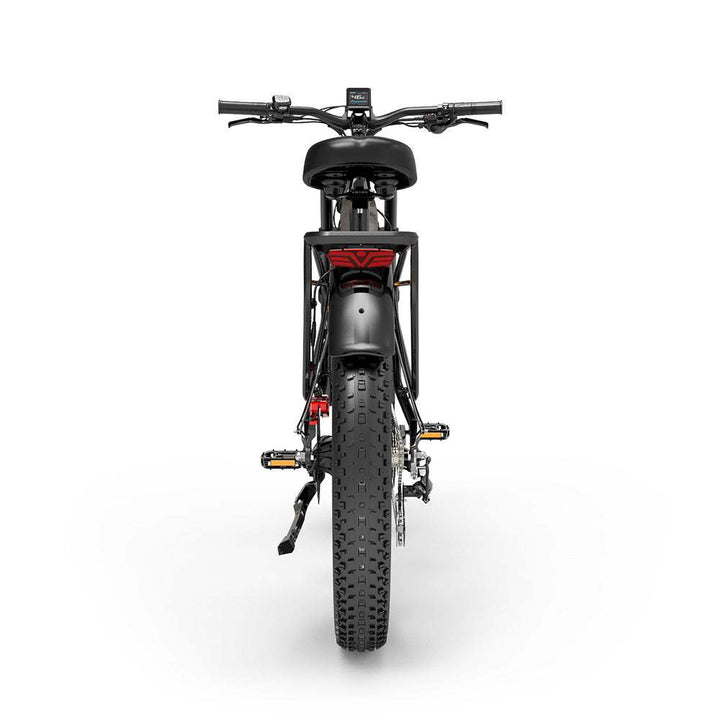 LankeLeisi MG800MAX elektrische fiets 